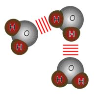 Unterschiedlich geladene Dipole ziehen sich an