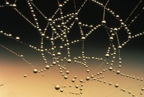 Ein etwas anderes Wasser(stoff)netzwerk